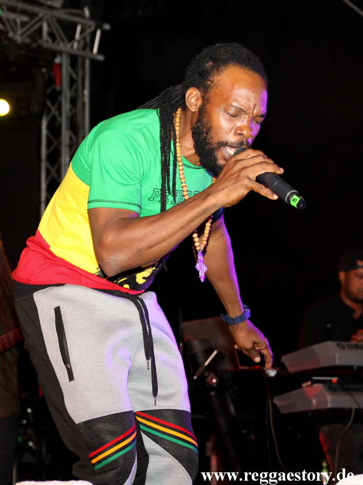 Bushman - Reggae Jam 2019