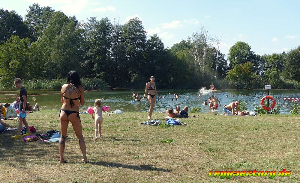 COB Festival 2024