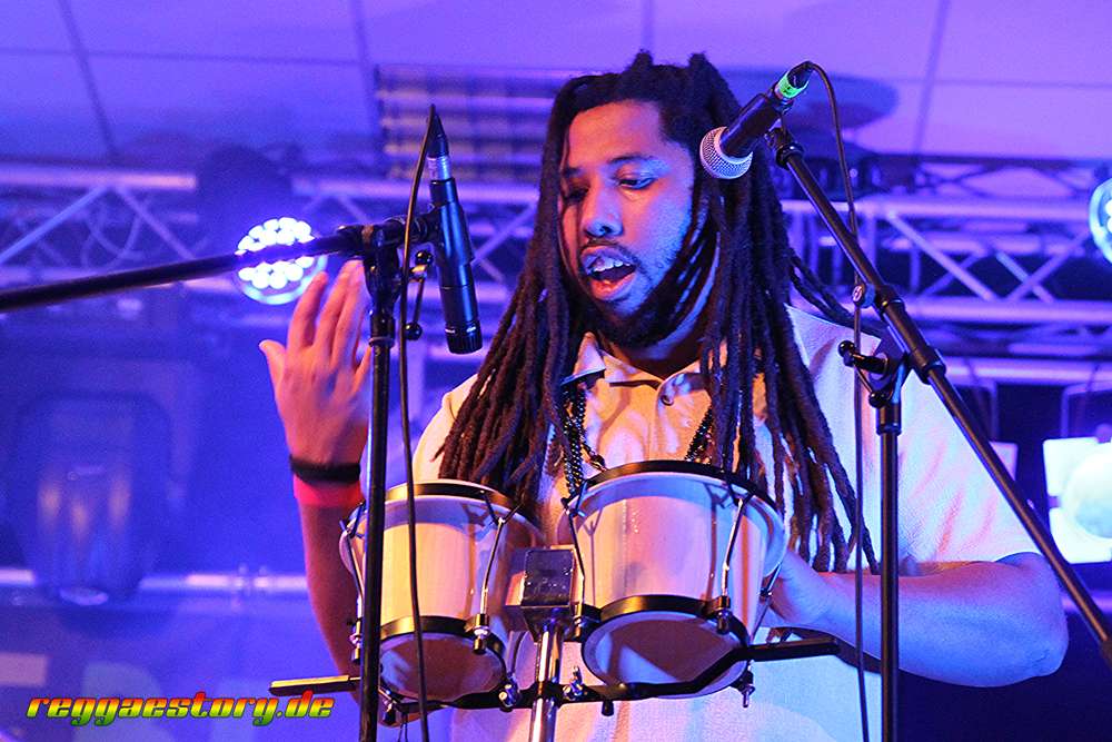 Lion D & Modern Roots Collective - COB Special 2025