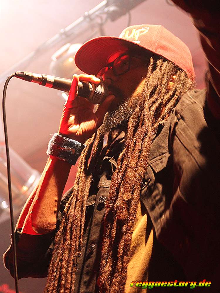Lion D & Modern Roots Collective - COB Special 2025