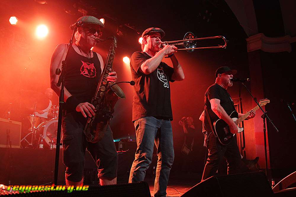 The Toaster - Dynamite Skafestival 2024