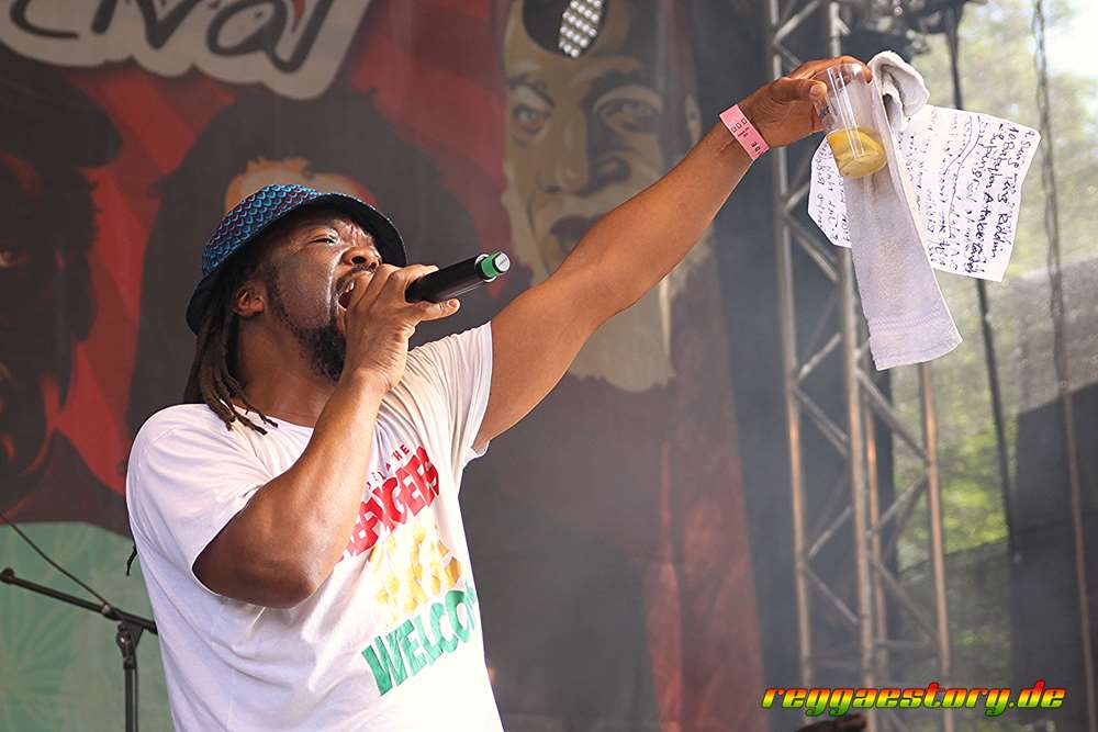 Vido Jelashe - Reggae Jam 2024