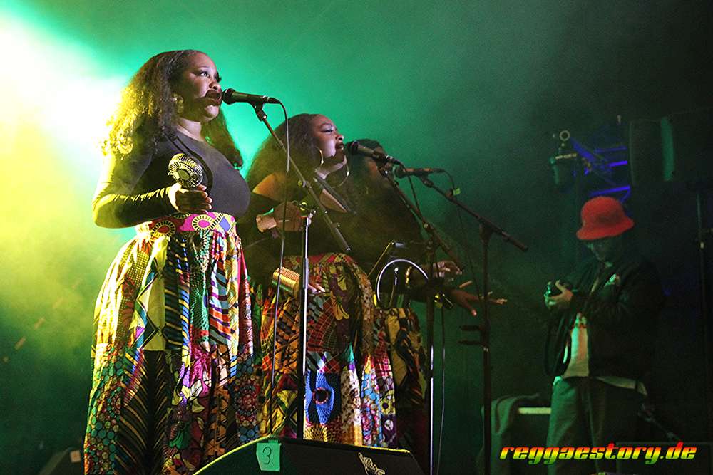 @ Luciano - Reggae Jam 2025