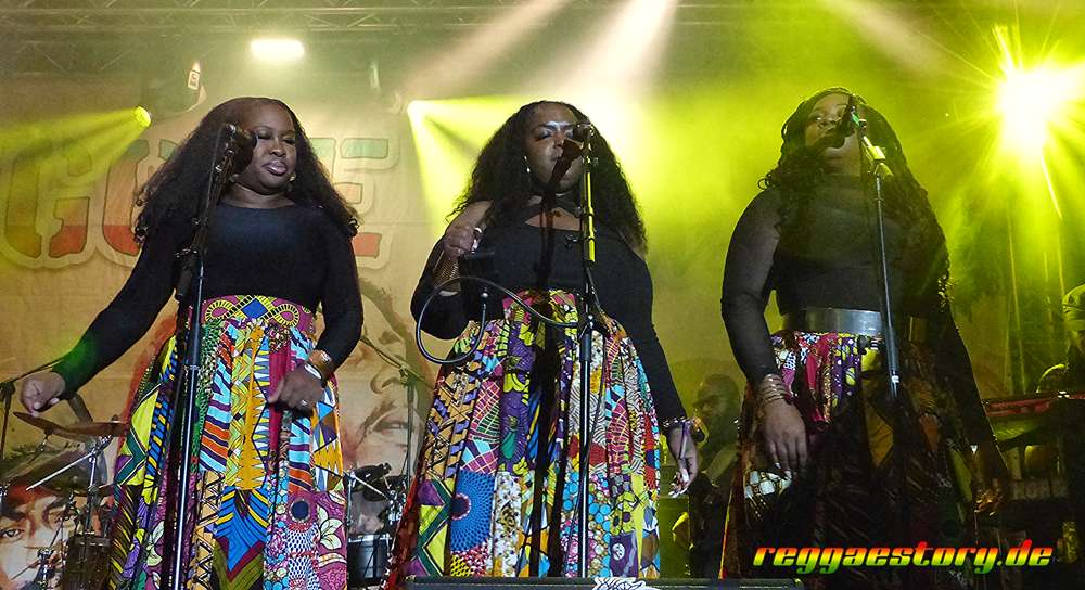 @ Luciano - Reggae Jam 2025