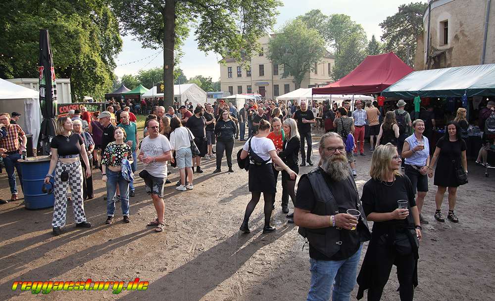 @ JRRF - This Is Ska 2024