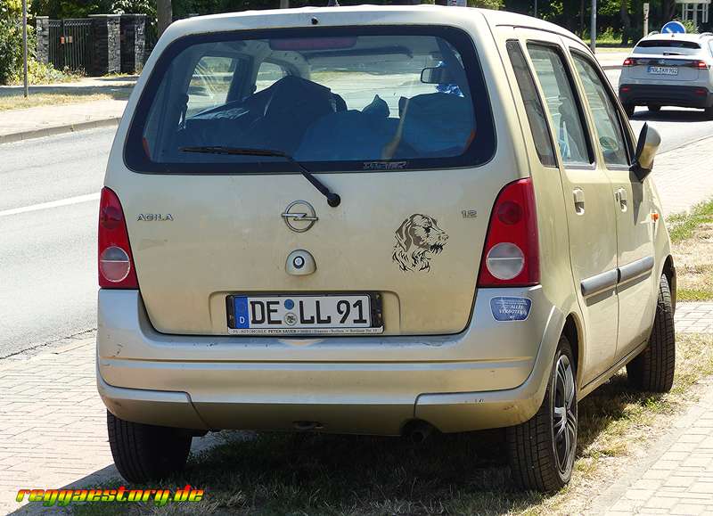 Dell Car - TIS 2025