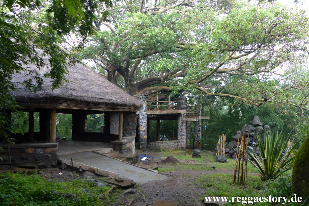 Ethiopia - Wolisso - Negash Lodge - Tree Bar
