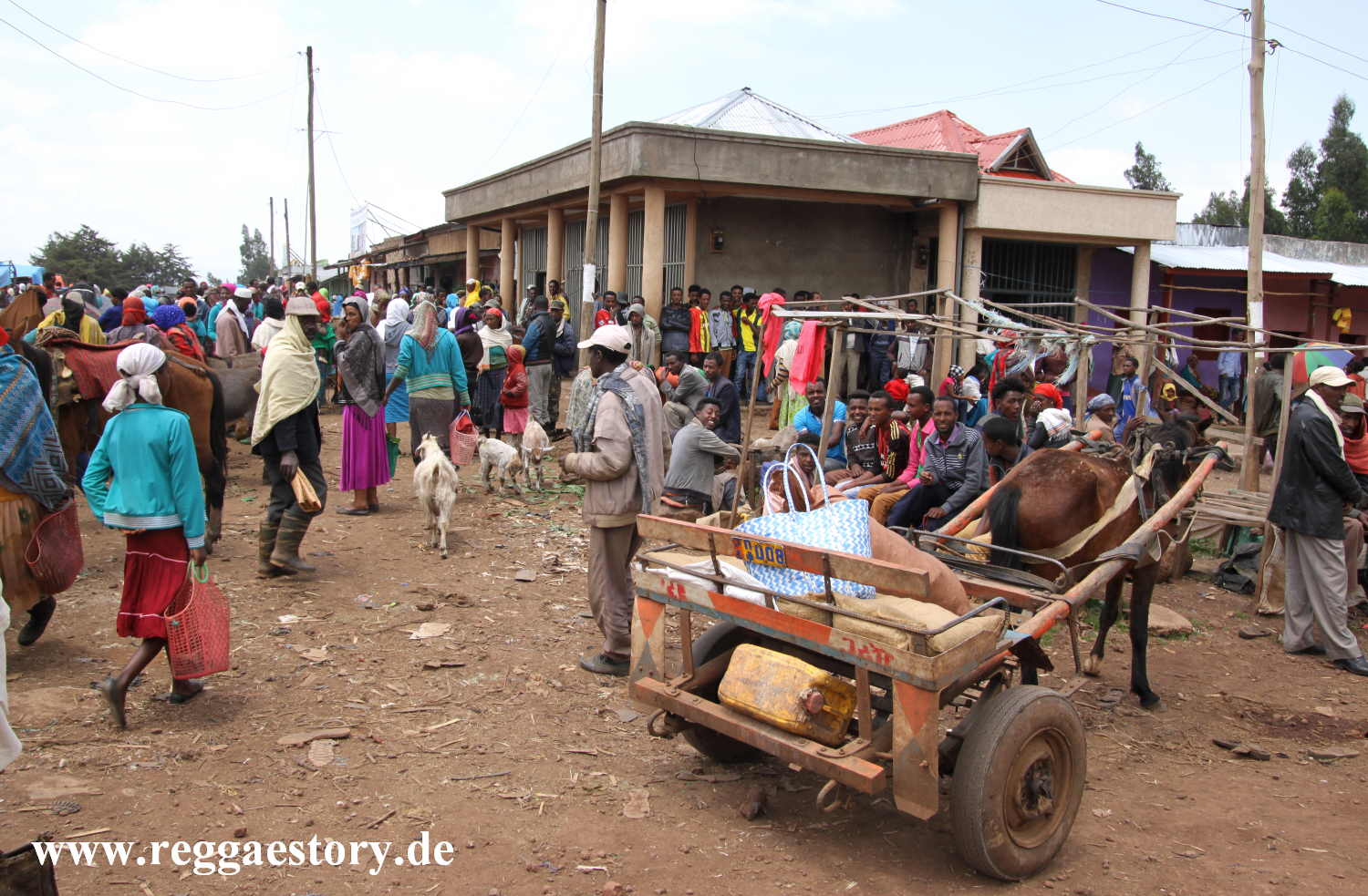 Ethiopia - Oromia - Bekoji - Market