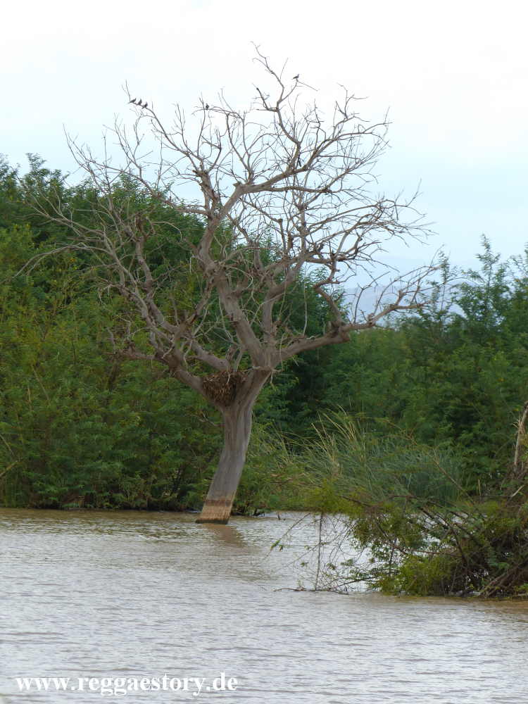 Lake Abaya - Ethiopia
