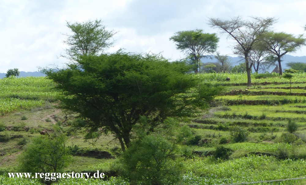 River in the west of Konso - Ethiopia