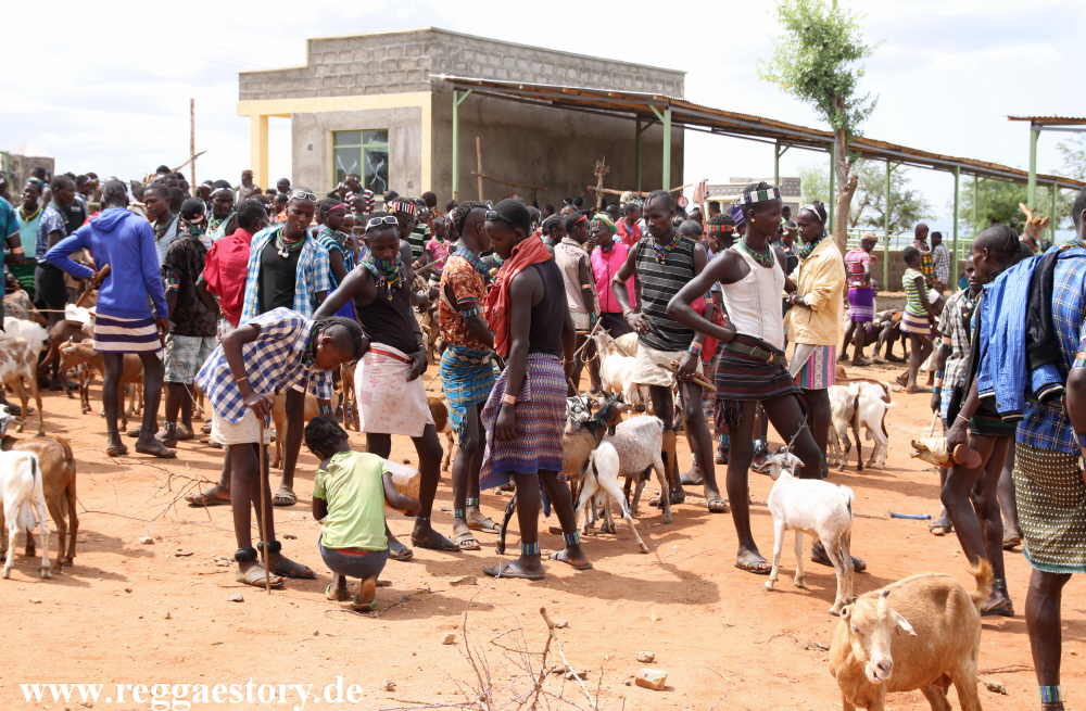 Animal market - Dimeka - Ethiopia