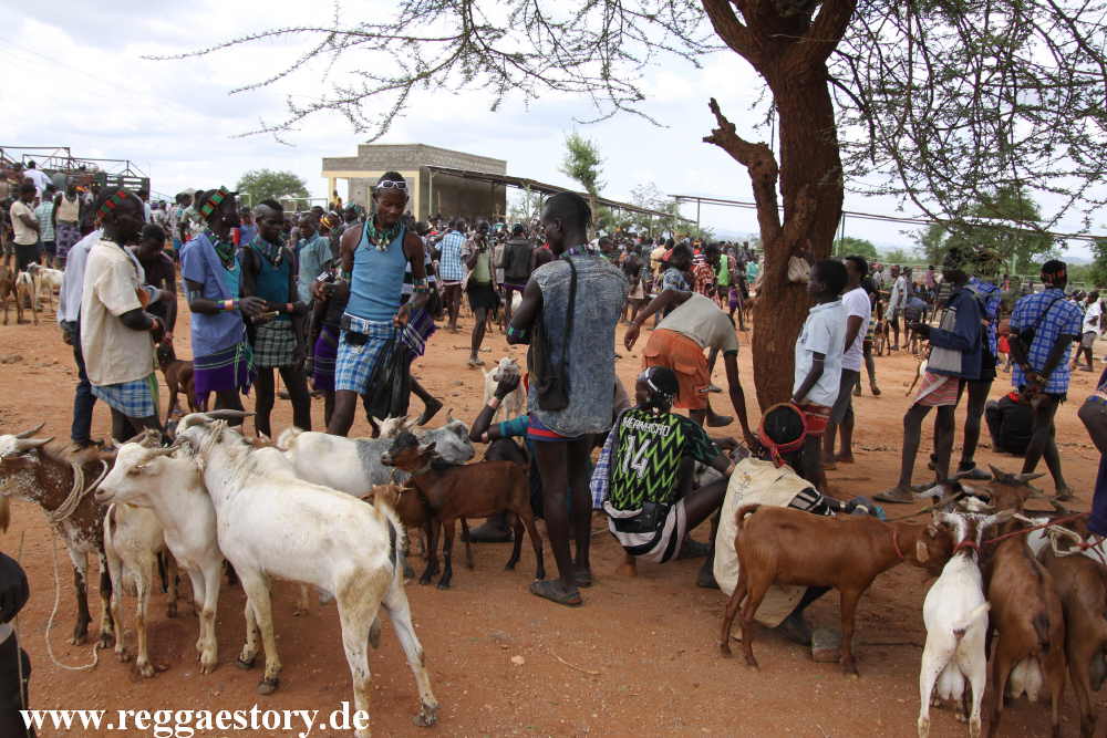 Animal market - Dimeka - Ethiopia
