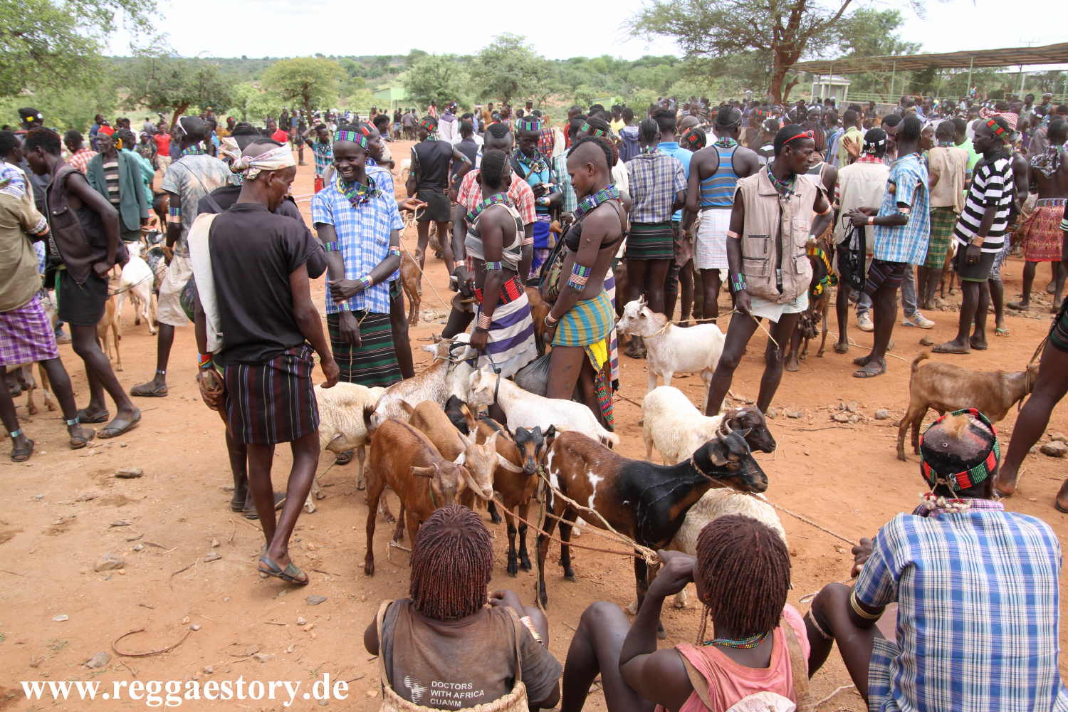 Animal market - Dimeka - Ethiopia