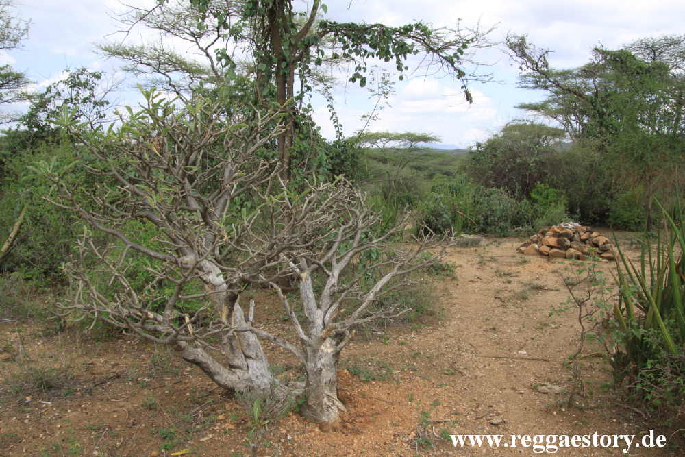 Near Buska Lodge - Turmi - Ethiopia