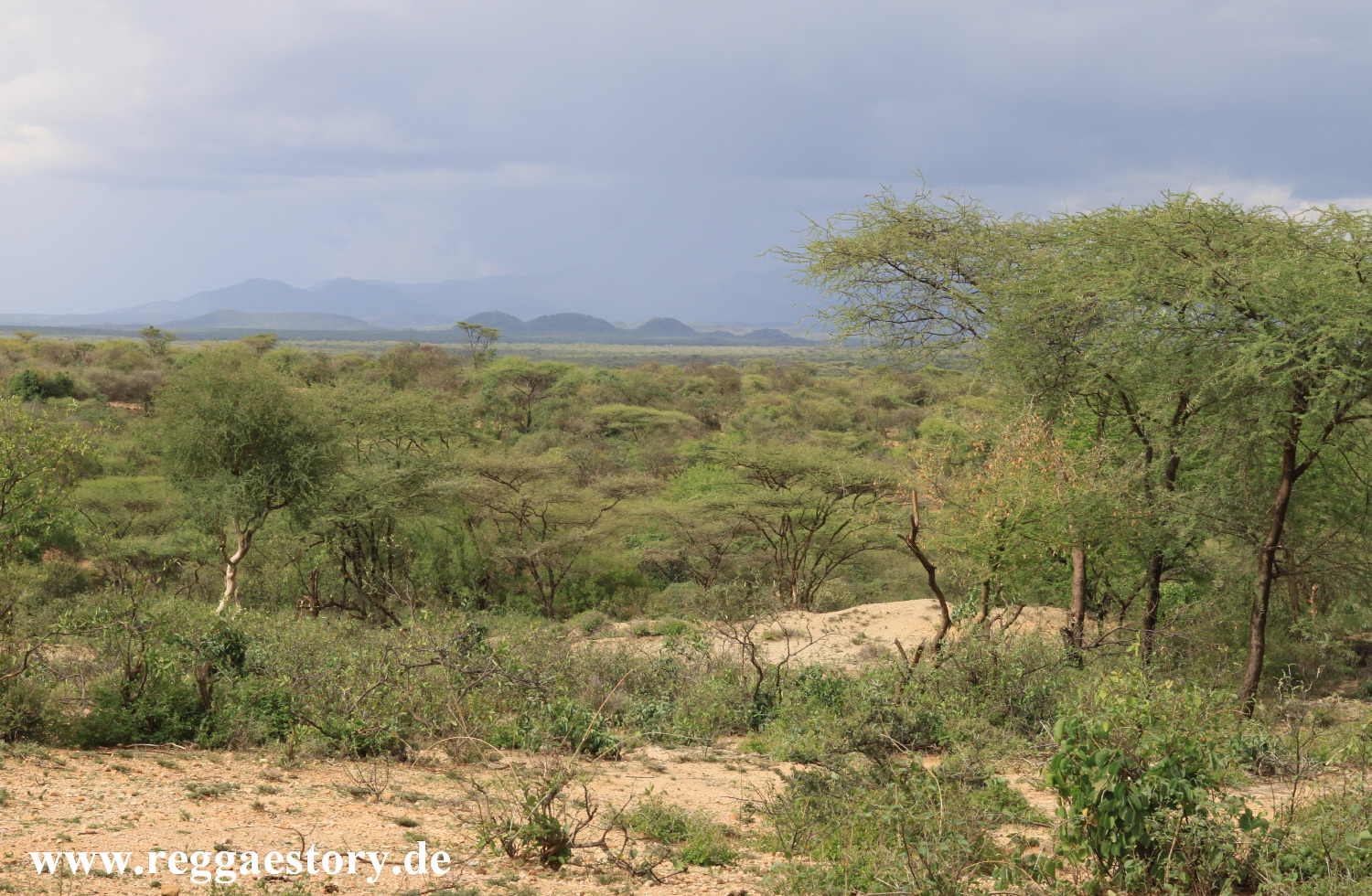 Near Buska Lodge - Turmi - Ethiopia
