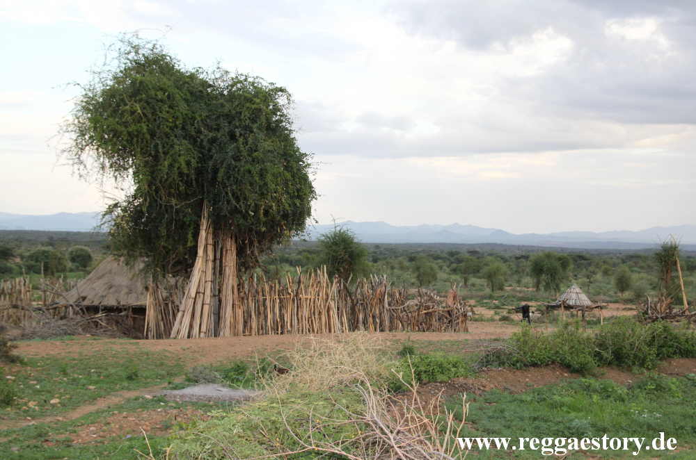 Hamer - Geria - Near Turmi - Ethiopia