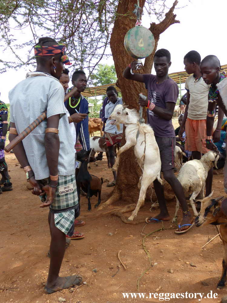 Animal market - Dimeka - Ethiopia