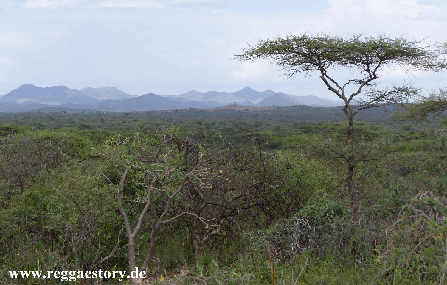Near Buska Lodge - Turmi - Ethiopia