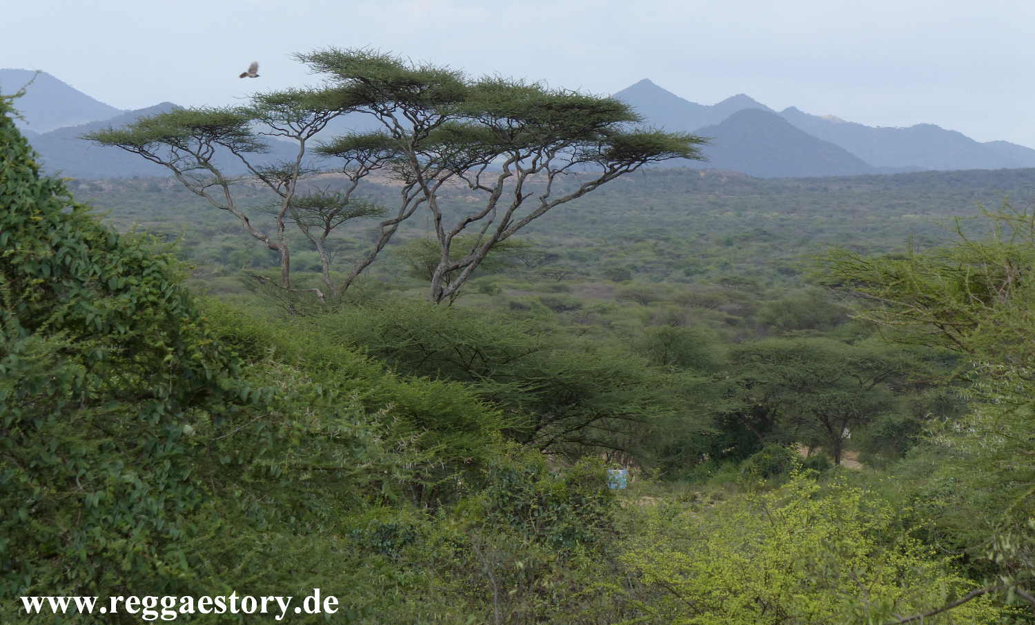 Near Buska Lodge - Turmi - Ethiopia
