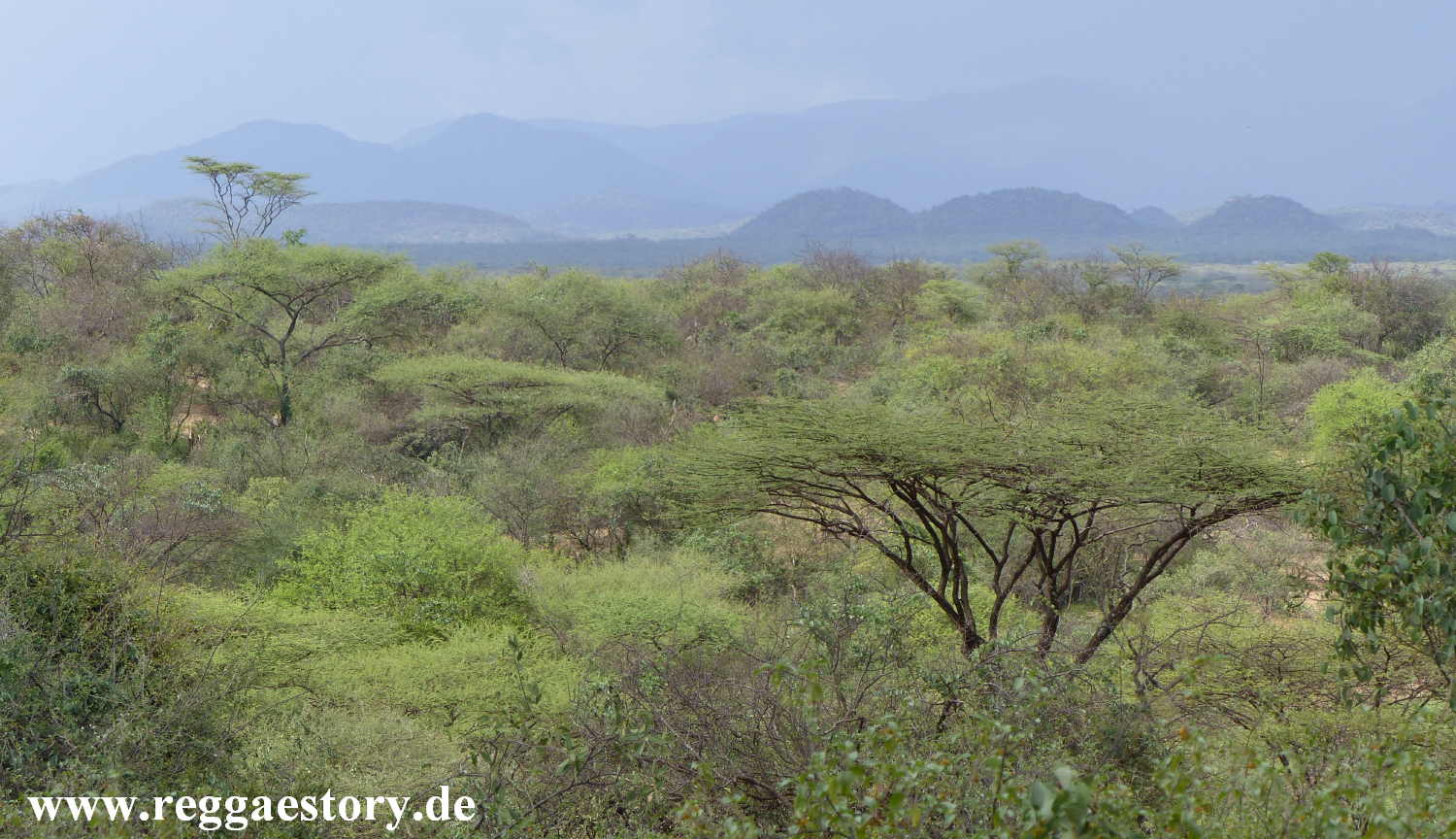 Near Buska Lodge - Turmi - Ethiopia
