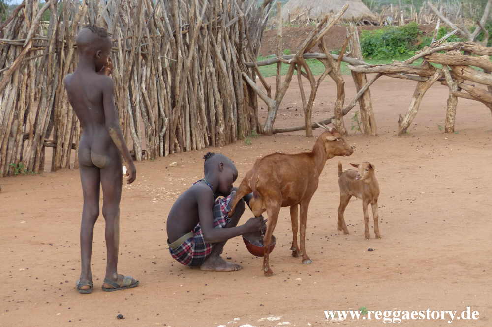 Hamer - Geria - Near Turmi - Ethiopia