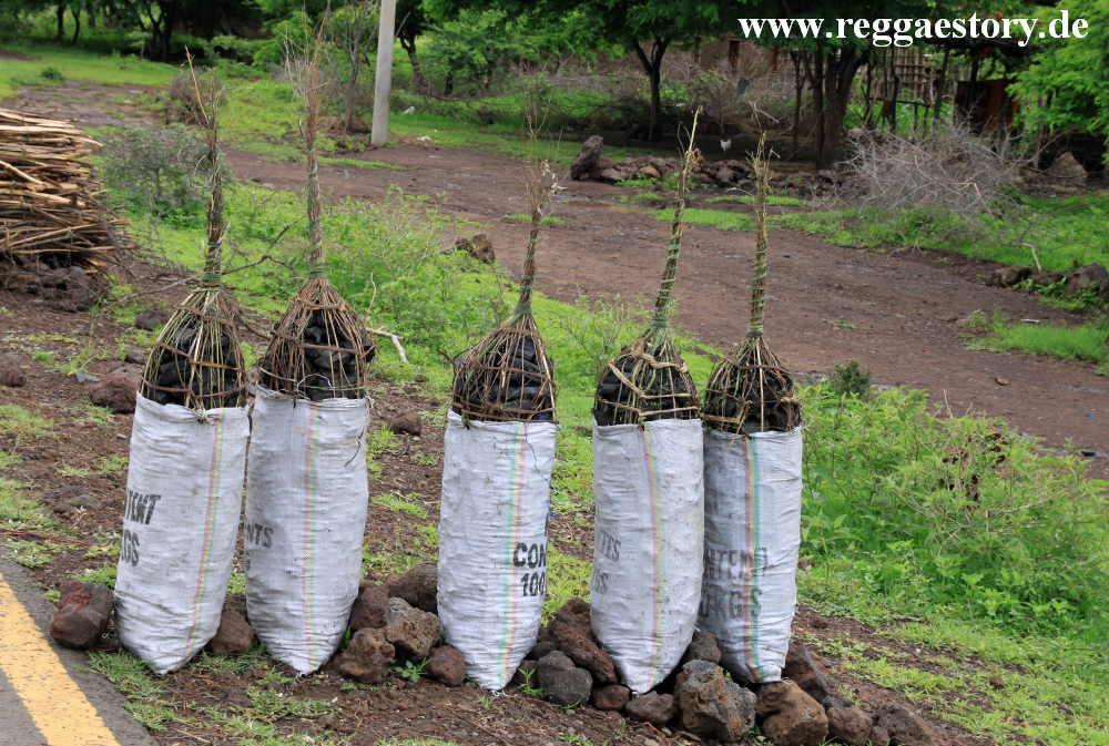 Holzkohle - Ethiopia - The South
