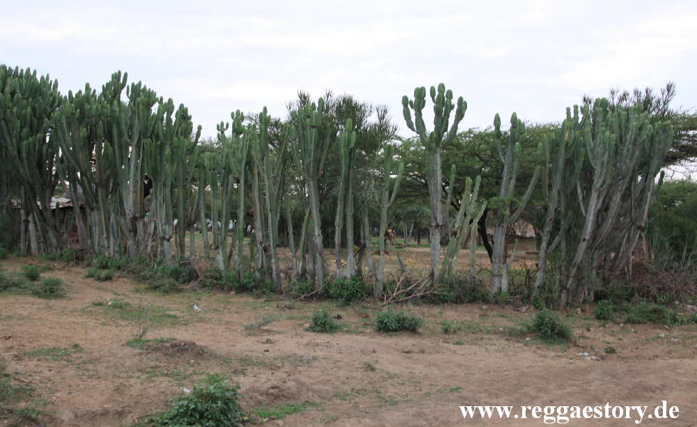 Abijata-Shala National Park - Ethiopia