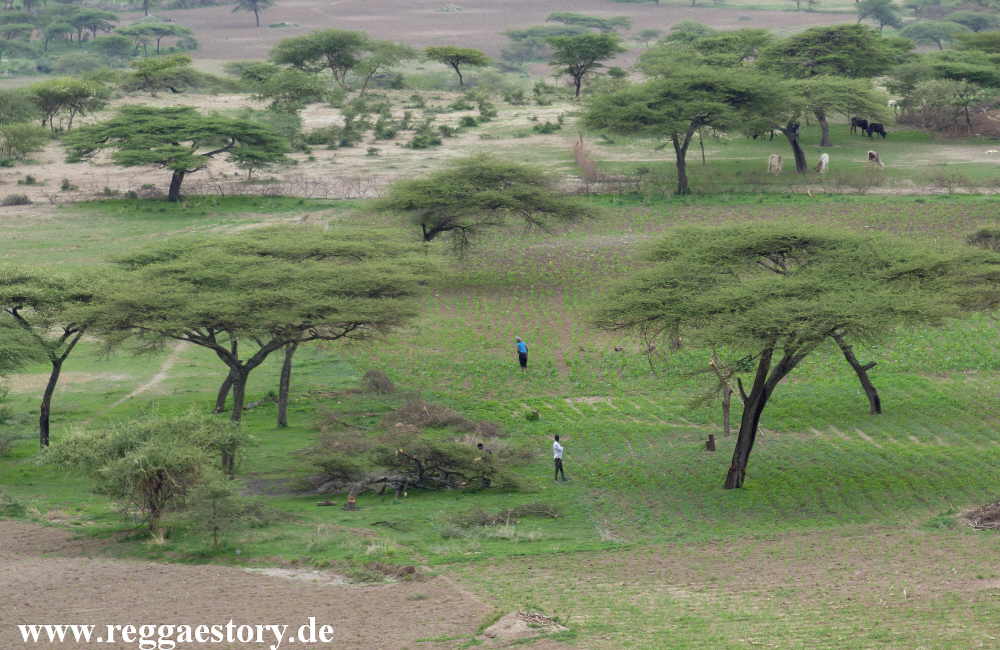 Abijata-Shala National Park - Ethiopia
