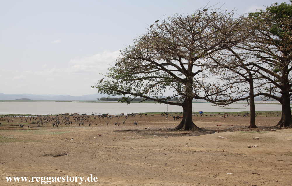 Lake Koka - Ethiopia