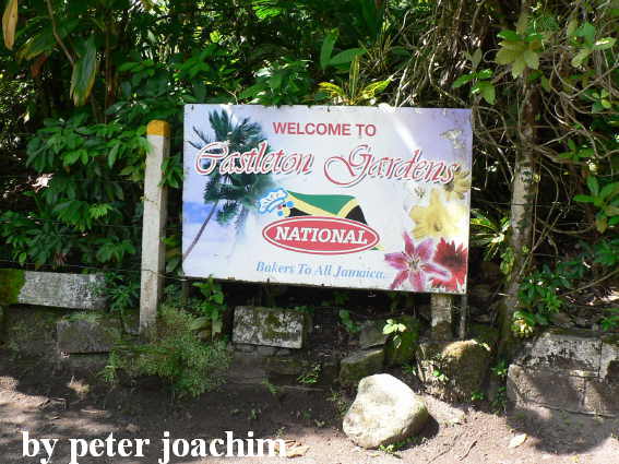 Castleton Botanical Gardens