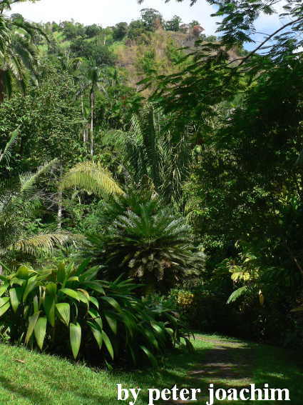 Castleton Botanical Gardens