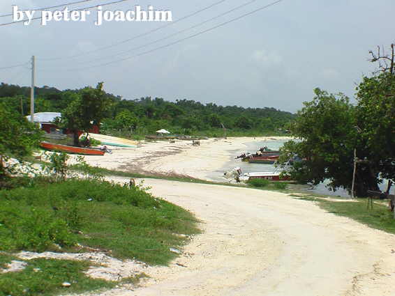 Little Bay