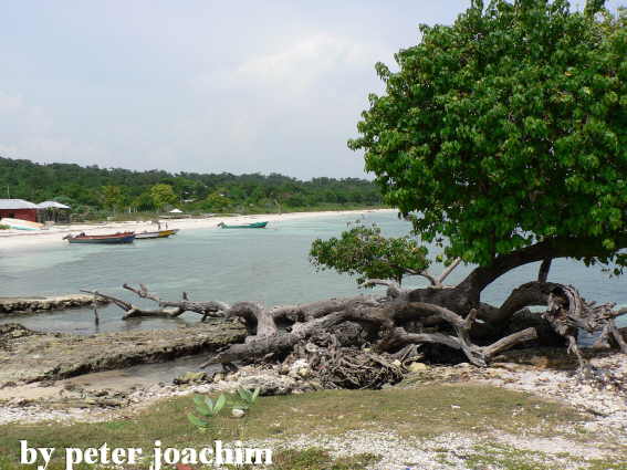 Little Bay