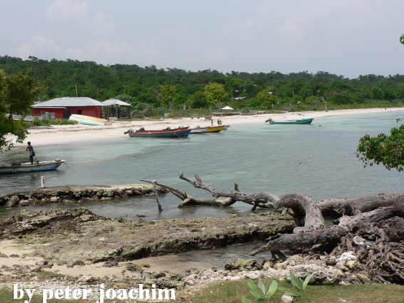 Little Bay