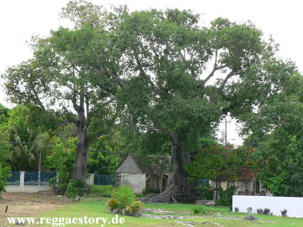 Negril - W&auml;rterhaus